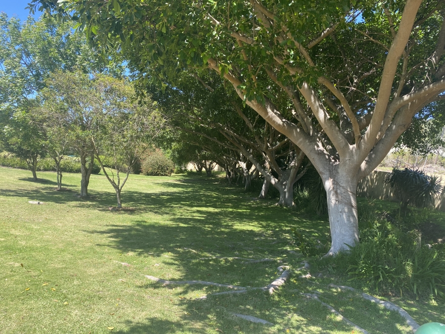 0 Bedroom Property for Sale in Schoongezicht Western Cape